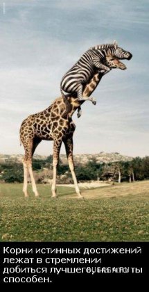 Жизнь со смыслом