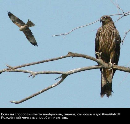 Жизнь со смыслом