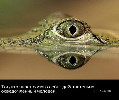 Жизнь со смыслом