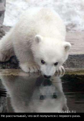 Жизнь со смыслом