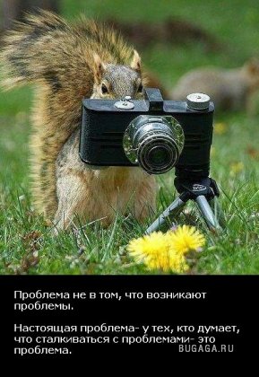 Жизнь со смыслом