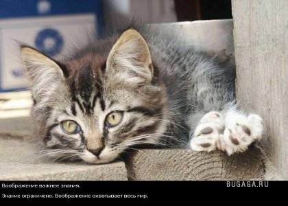 Жизнь со смыслом