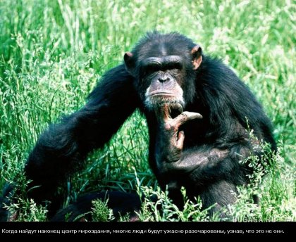 Жизнь со смыслом