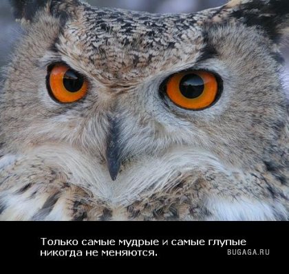 Жизнь со смыслом