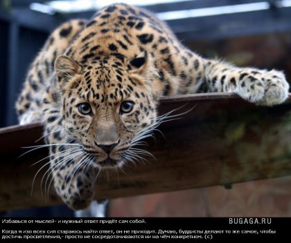 Жизнь со смыслом