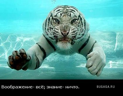 Жизнь со смыслом