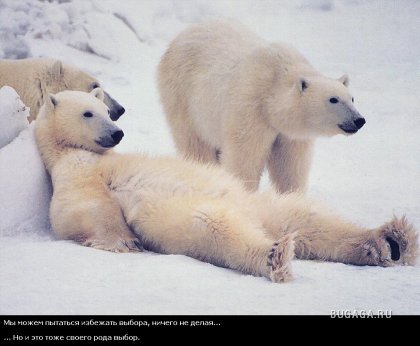 Жизнь со смыслом