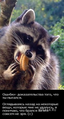 Жизнь со смыслом