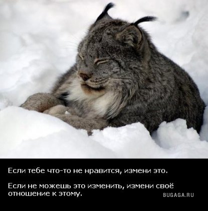 Жизнь со смыслом