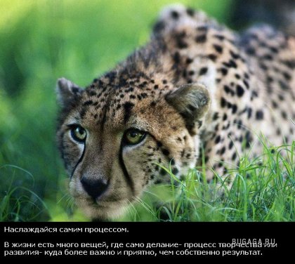 Жизнь со смыслом