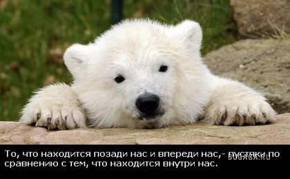 Жизнь со смыслом