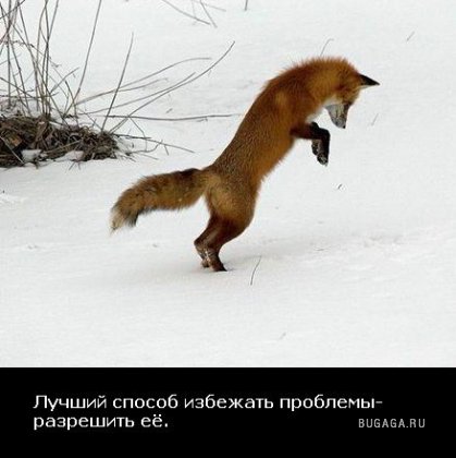 Жизнь со смыслом