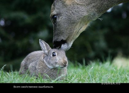 Жизнь со смыслом