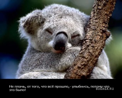 Жизнь со смыслом