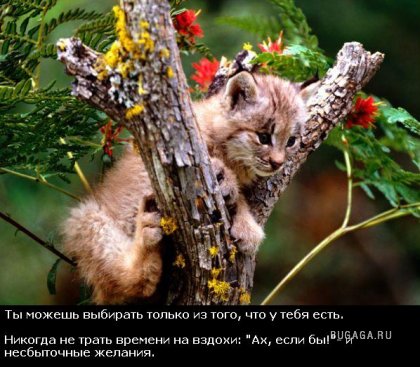 Жизнь со смыслом