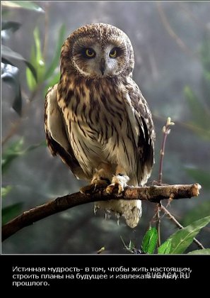 Жизнь со смыслом