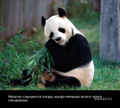 Жизнь со смыслом