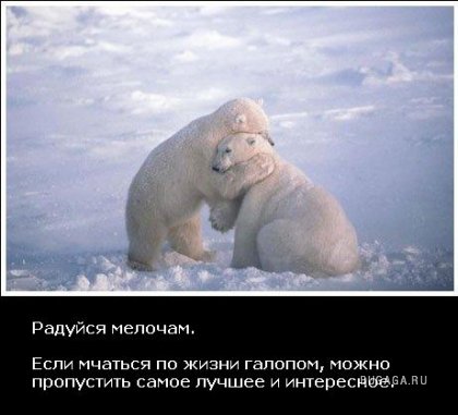 Жизнь со смыслом