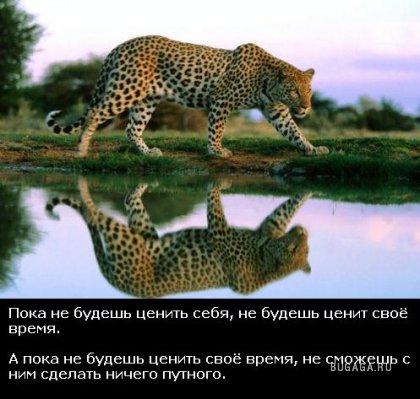 Жизнь со смыслом