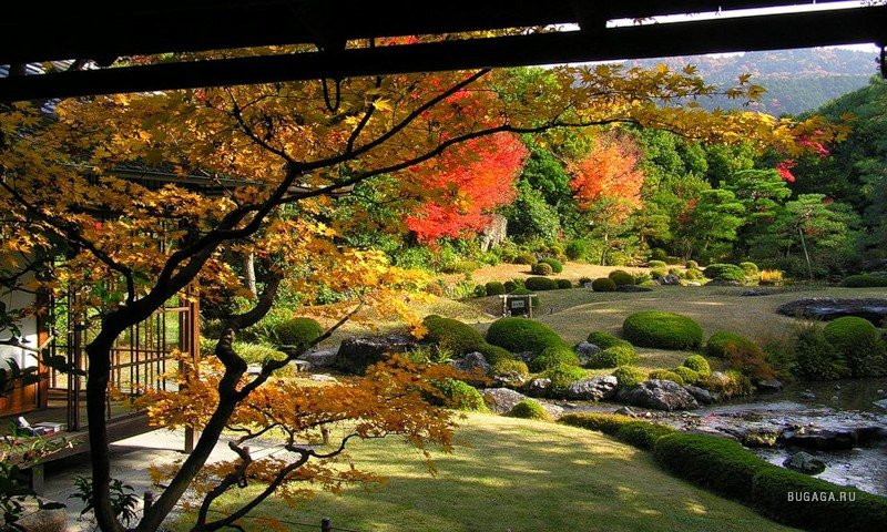 Природа Японии в картинках 1233592000_0_368f_191f886f_xl