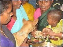 Мальчика женили на собаке, чтобы спасти от тигра