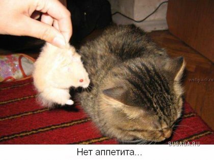 Для тех кто думает, что у него неудачный день!