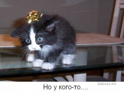 Для тех кто думает, что у него неудачный день!