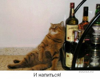 Для тех кто думает, что у него неудачный день!