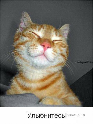 Для тех кто думает, что у него неудачный день!