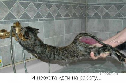 Для тех кто думает, что у него неудачный день!