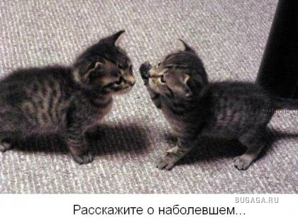 Для тех кто думает, что у него неудачный день!