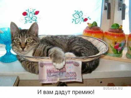 Для тех кто думает, что у него неудачный день!