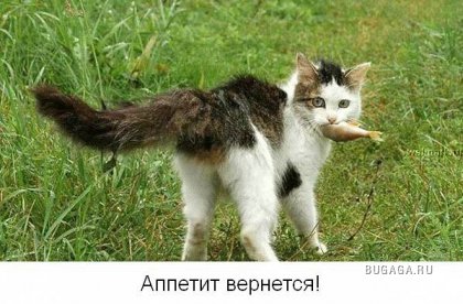 Для тех кто думает, что у него неудачный день!