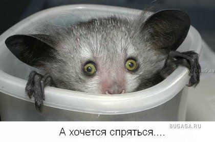 Для тех кто думает, что у него неудачный день!