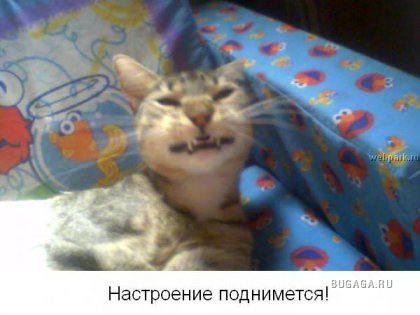 Для тех кто думает, что у него неудачный день!