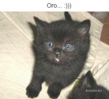 Для тех кто думает, что у него неудачный день!