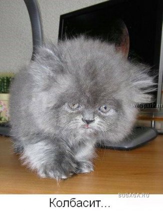 Для тех кто думает, что у него неудачный день!