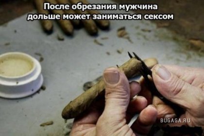 Интересности про это..
