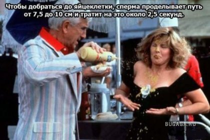 Интересности про это..