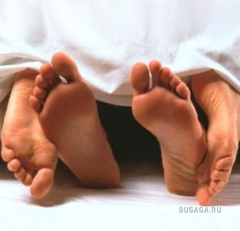 Идеальное утро