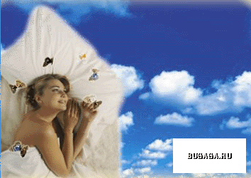 Идеальная жизнь!