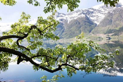 Природа Норвегии от Игоря Шермана