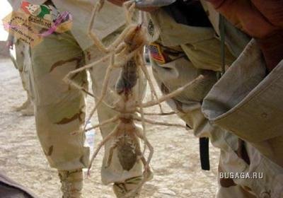 Фотошоп или нет?