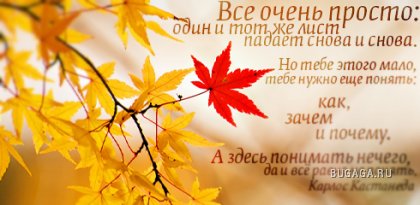 Цитаты в картинках