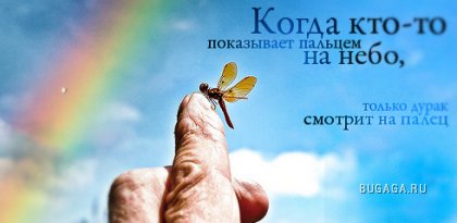 Цитаты в картинках