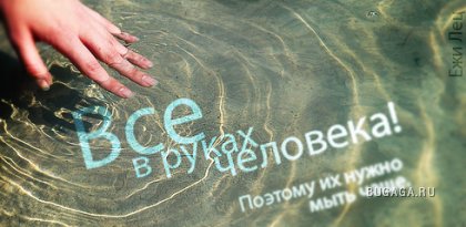 Цитаты в картинках