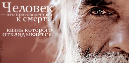 Цитаты в картинках