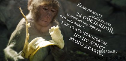 Цитаты в картинках