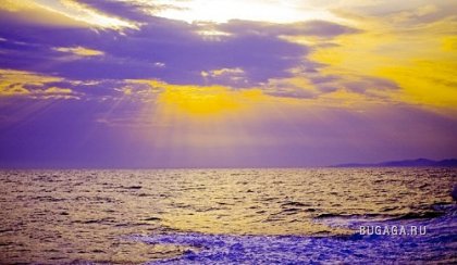 Фотографии Дмитрия Медведева Фотографии Дмитрия Медведева