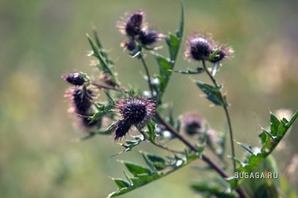 Фотографии Дмитрия Медведева Фотографии Дмитрия Медведева